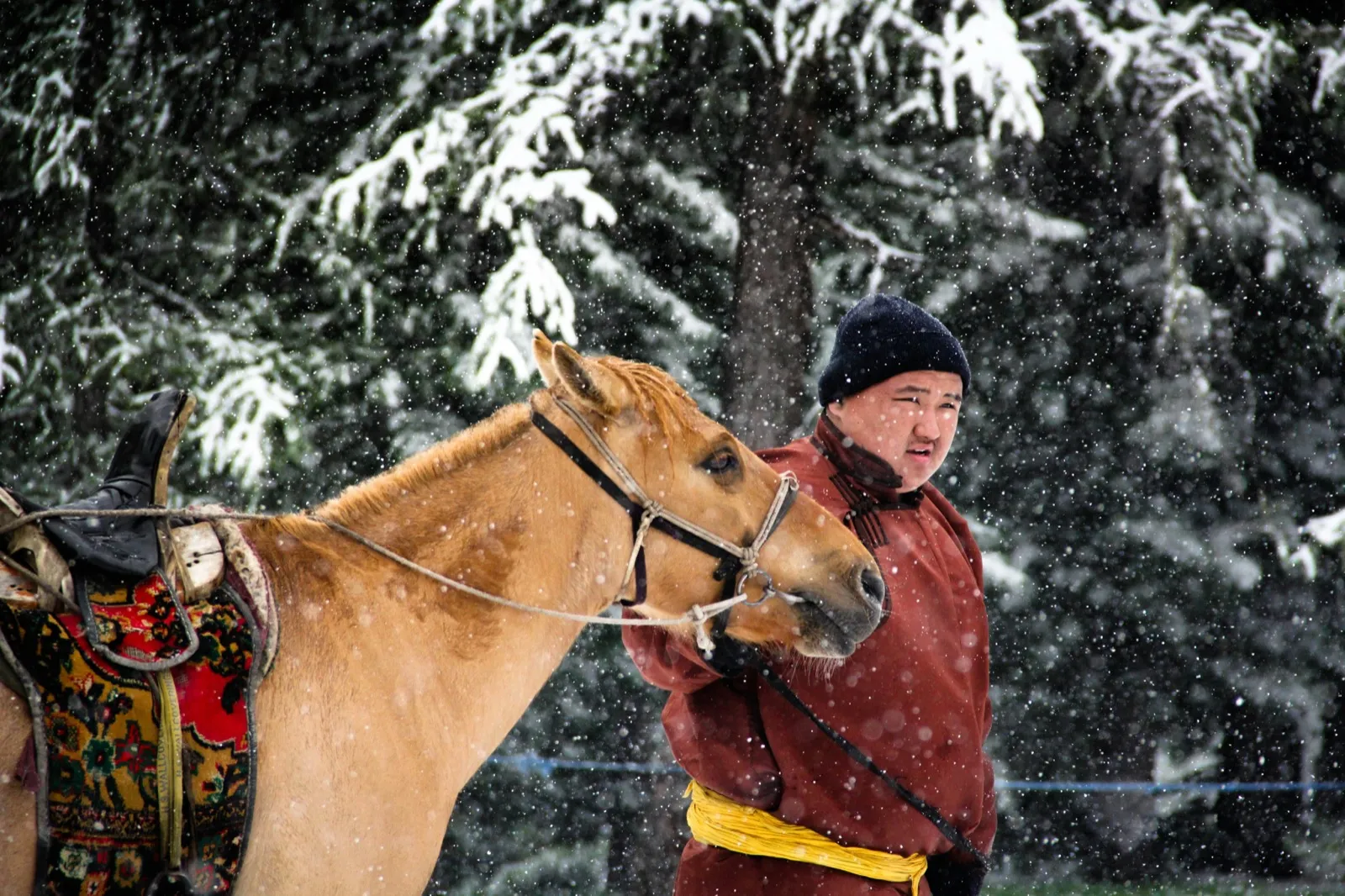雪の中、馬と一緒に立つモンゴル民族衣装の男性